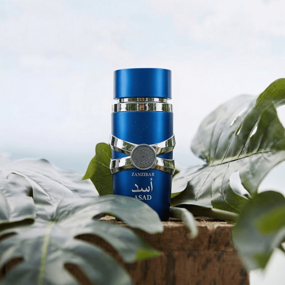 Asad Zanzibar EDP 100ml Fragrance